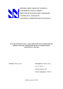 Plan de Negocios PDVSA PETROCEDEÑO: Recuperación Producción