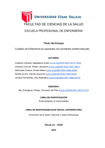 CUIDADO DE ENFERMERÍA EN PACIENTES CON ACCIDENTE CEREBROVASCULAR 2