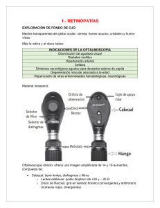 RESUMEN RETINOPATÍAS