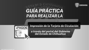 Guia practica Tarjeta de Circulacion