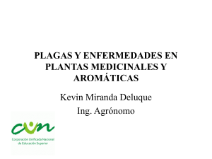 Plagas y Enfermedades en Plantas Medicinales y Aromáticas