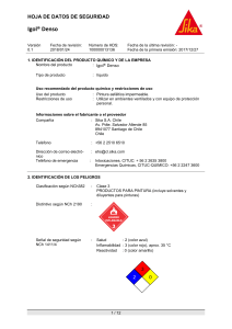 Hoja de Seguridad Igol® Denso