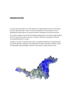 Análisis de la Cuenca del Río Supe: Geografía y Medio Ambiente