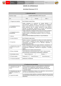 SES. APR. N° 01 ELECTRONICA ANALOGICA