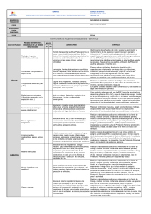 Formulario de Notificación de Riesgos: Seguridad y Salud Ocupacional