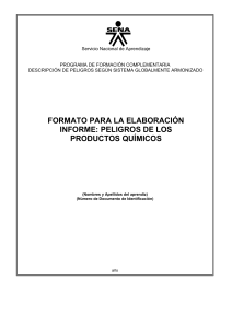 Formato Informe peligros quimicos (3)