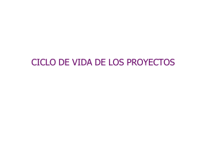 393558374-ciclo-de-vida-de-un-proyecto