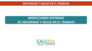 02.Inspecciones internas de Seguridad y Salud en el Trabajo