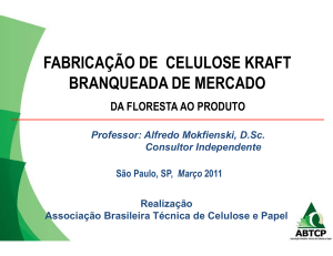 Fabricação de Celulose Kraft Branqueada: Da Floresta ao Produto