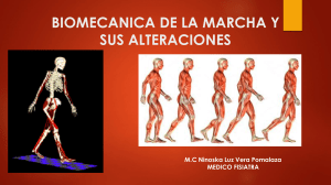 Biomecánica de la Marcha y Alteraciones - Presentación