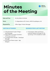 Meeting Minutes Doc 