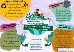 MAPA MENTAL IMPACTO AMBIENTALA