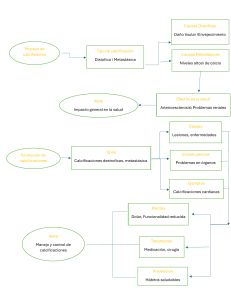 Estructuras Calcificadas: Resumen de Biología y Medicina