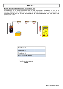 Prácticas de Circuitos Serie y Paralelo: Electrotecnia