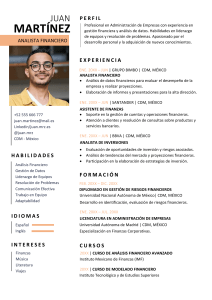 317-curriculum-vitae-breve