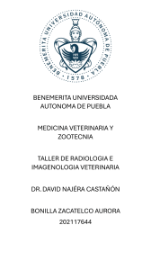 Radiología e Imagenología Veterinaria - BUAP