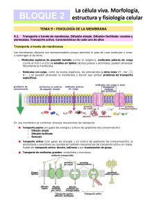 Tema 9- FisiologÃ a de la membrana