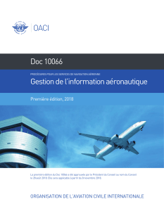 10066 cons fr Gestion de l'Information Aéronautique