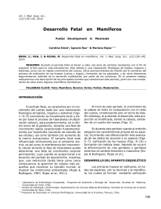 Desarrollo Fetal en Mamiferos