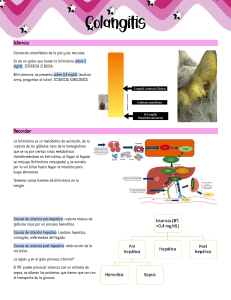 Colangitis en Gatos: Causas, Diagnóstico y Tratamiento