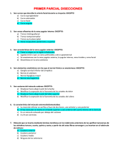 Examen semestral anatomia