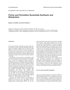 Purine & Pyrimidine Nucleotide Synthesis in Arabidopsis