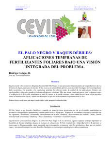 EL PALO NEGRO Y RAQUIS DÉBILES:  APLICACIONES TEMPRANAS DE  FERTILIZANTES FOLIARES BAJO UNA VISIÓN  INTEGRADA DEL PROBLEMA