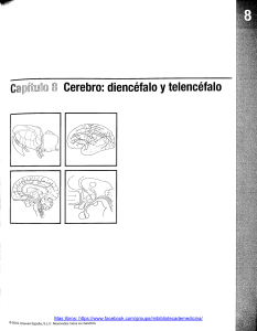 BM Netter Cuaderno de Neurociencia para Colorear-177