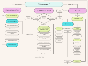 Mapa Conceptual Vitamina C