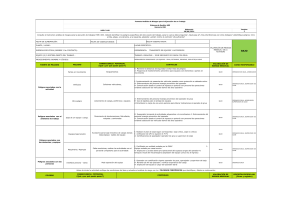 FORMATO ANALISIS DE RIESGOS- GRUA