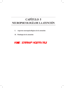 cap. 5. neuropsicología de la atención. portellano j.a.