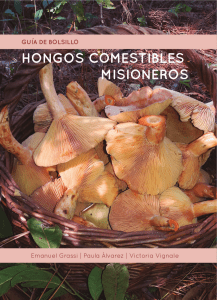 Edible Mushrooms of Misiones: A Pocket Guide