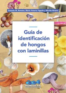 Guia de identificacion de hongos con aminillas HongosAR