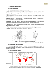 5-Malpighiaceae