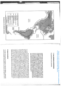 2. Mandrini, R. (2013). América aborigen. De los primeros pobladores a la invasión europea, Buenos Aires, Siglo XXI.