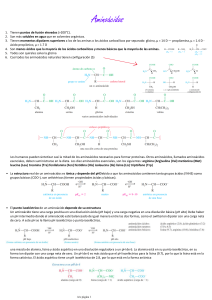 Aminiacidos 