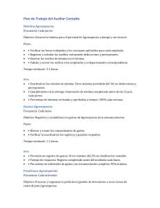 Plan de Trabajo Auxiliar Contable Con KPIs Final