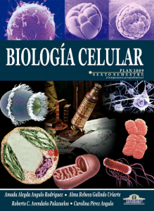 02. Biología Celular autor Amada Aleyda Angulo, Alma Rebeca Galindo, Roberto C. Avendaño y Carolina Pérez