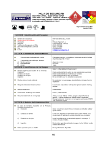 MSDS - PINTURA ESMALTE