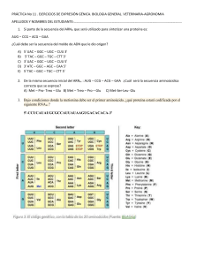 Semana 11 Práctica 11 Ejercicios de expresión génica  VET- AGRON 2021 10