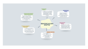 Identificación Digital: Retos y Soluciones en la Economía Digital