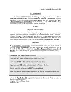 Dictamen Técnico Topografía: Identidad de Terreno en Puebla