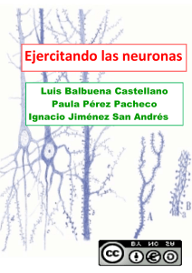 Ejercitando las Neuronas