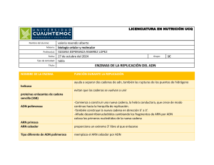 ENZIMAS DE LA REPLICACIÓN DEL ADN (1)