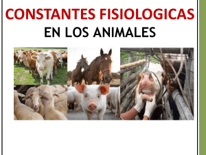 Constantes Fisiológicas en Animales: Presentación