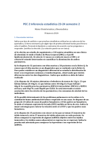 enunciado Pec2 sem2 2024