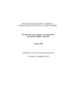 Programa de Seguimiento Ambiental - Extraccion de Ulexita en el Salar de Surire año 1999