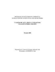 Programa de Seguimiento Ambiental - Extraccion de Ulexita en el Salar de Surire año 2000