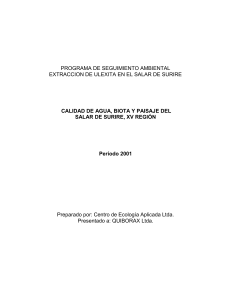 Programa de Seguimiento Ambiental en el Salar de Surire - año 2001 (Introduccion)