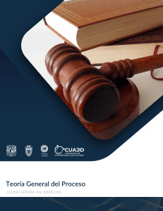 Teoría General del Proceso: Material del Curso de Derecho Procesal